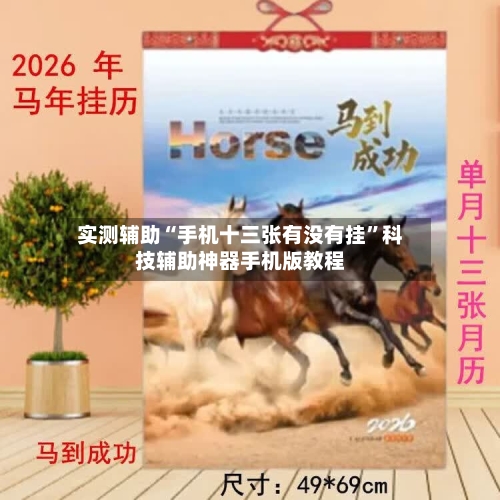 实测辅助“手机十三张有没有挂	”科技辅助神器手机版教程-第1张图片