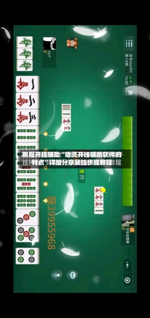 教程开挂辅助“哈灵开挂辅助软件的特点”详细分享装挂步骤教程-第1张图片