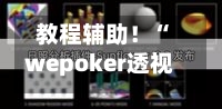 教程辅助！“wepoker透视挂辅助挂教程”原来有神器下载！-第1张图片