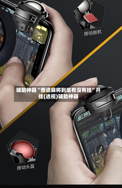 辅助神器“奇迹麻将到底有没有挂”开挂(透视)辅助神器-第1张图片