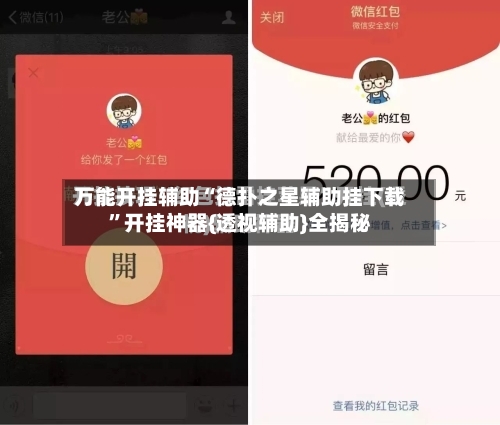 万能开挂辅助“德扑之星辅助挂下载”开挂神器{透视辅助}全揭秘-第1张图片