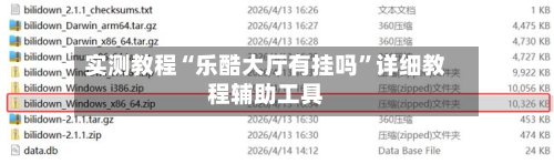实测教程“乐酷大厅有挂吗”详细教程辅助工具-第1张图片