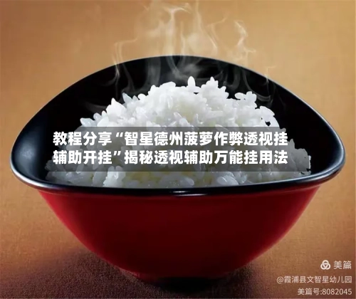 教程分享“智星德州菠萝作弊透视挂辅助开挂	”揭秘透视辅助万能挂用法-第1张图片