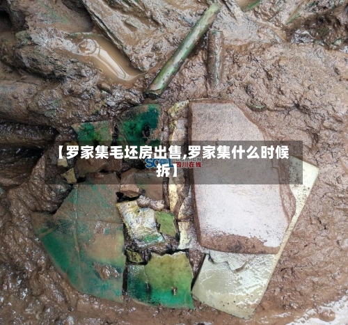 【罗家集毛坯房出售,罗家集什么时候拆】-第1张图片