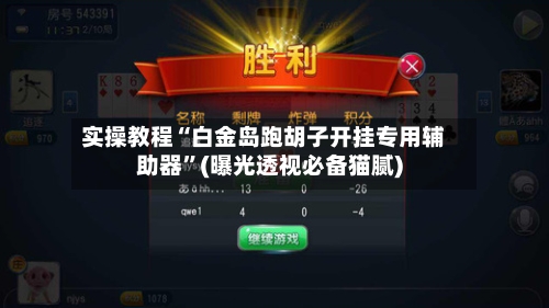 实操教程“白金岛跑胡子开挂专用辅助器”(曝光透视必备猫腻)-第1张图片