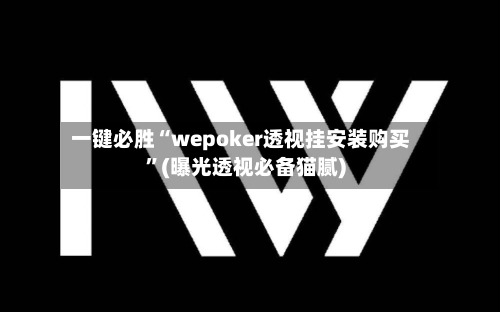 一键必胜“wepoker透视挂安装购买”(曝光透视必备猫腻)-第1张图片