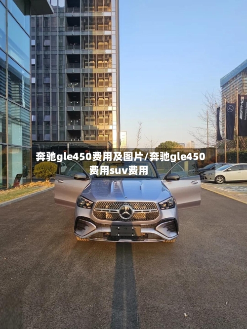 奔驰gle450费用及图片/奔驰gle450费用suv费用-第1张图片