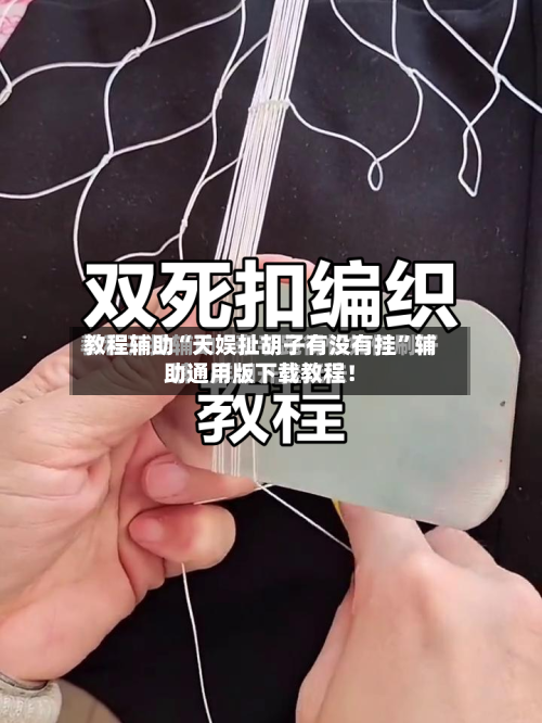 教程辅助“天娱扯胡子有没有挂	”辅助通用版下载教程！-第1张图片