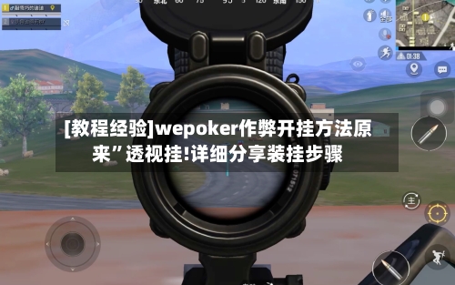[教程经验]wepoker作弊开挂方法原来	”透视挂!详细分享装挂步骤-第1张图片