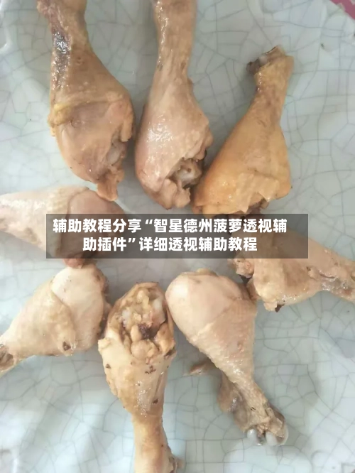 辅助教程分享“智星德州菠萝透视辅助插件”详细透视辅助教程-第1张图片