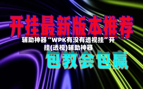 辅助神器“WPK有没有透视挂”开挂(透视)辅助神器-第1张图片