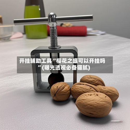 开挂辅助工具“樱花之盛可以开挂吗”(曝光透视必备猫腻)-第1张图片