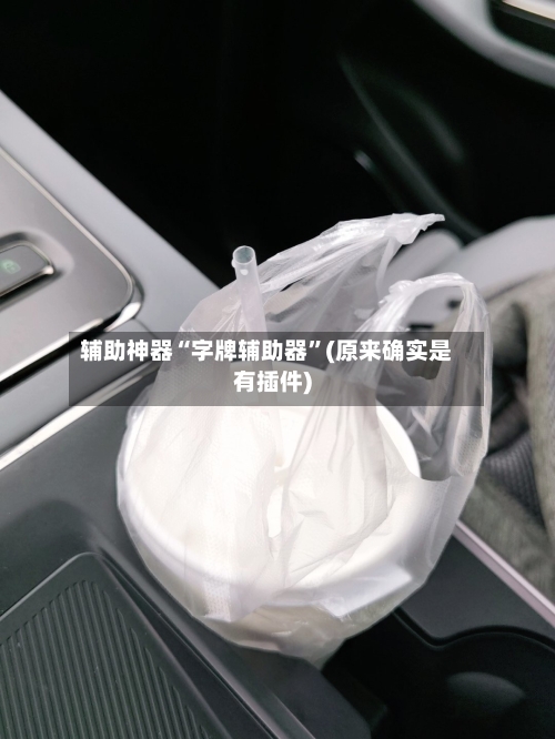 辅助神器“字牌辅助器	”(原来确实是有插件)-第1张图片
