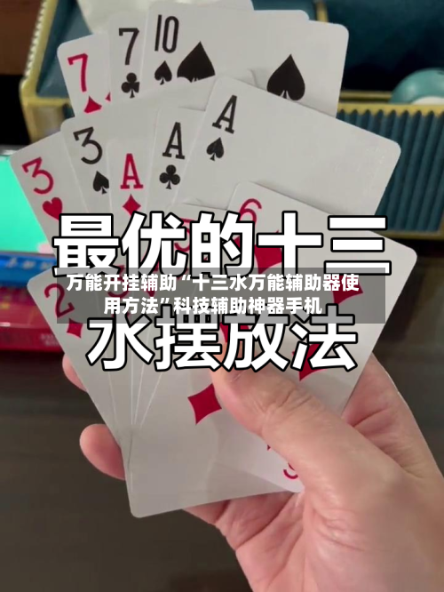 万能开挂辅助“十三水万能辅助器使用方法	”科技辅助神器手机-第1张图片