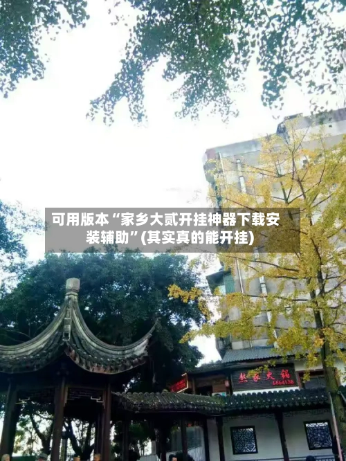 可用版本“家乡大贰开挂神器下载安装辅助	”(其实真的能开挂)-第1张图片