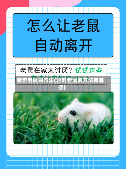 驱赶老鼠的方法(驱赶老鼠的方法有哪些)-第1张图片
