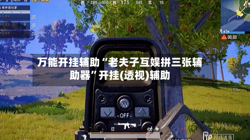 万能开挂辅助“老夫子互娱拼三张辅助器”开挂(透视)辅助-第1张图片