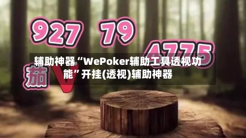 辅助神器“WePoker辅助工具透视功能”开挂(透视)辅助神器-第1张图片