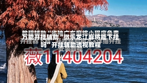 万能开挂辅助“微乐龙江麻将能下挂吗	”开挂辅助透视教程-第1张图片