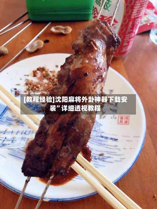 [教程经验]沈阳麻将外卦神器下载安装”详细透视教程-第1张图片