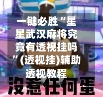 一键必胜“星星武汉麻将究竟有透视挂吗”(透视挂)辅助透视教程-第1张图片