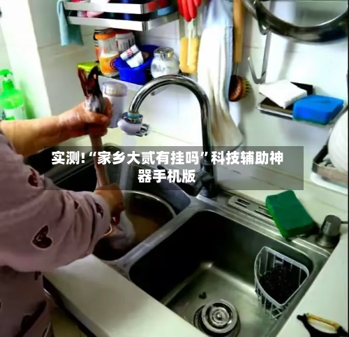 实测!“家乡大贰有挂吗”科技辅助神器手机版-第1张图片