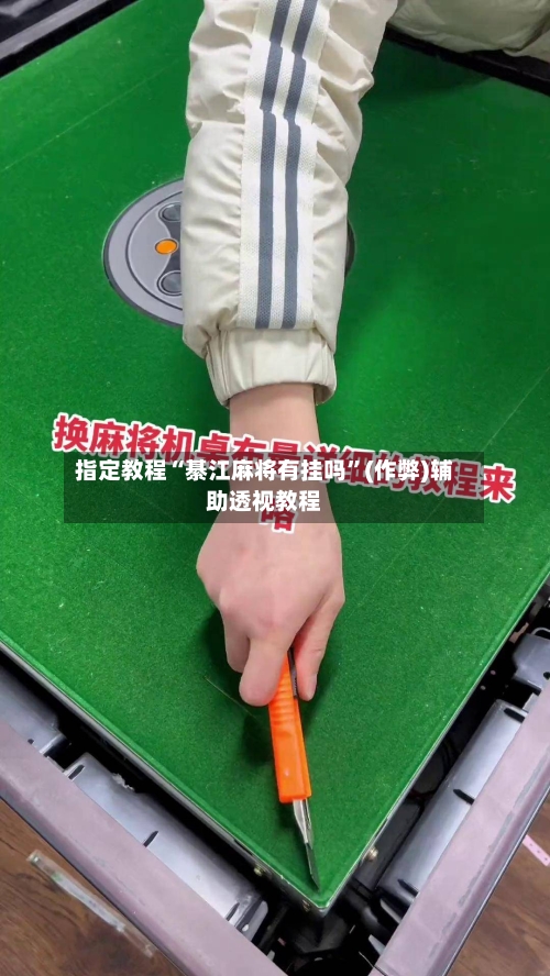 指定教程“綦江麻将有挂吗	”(作弊)辅助透视教程-第1张图片