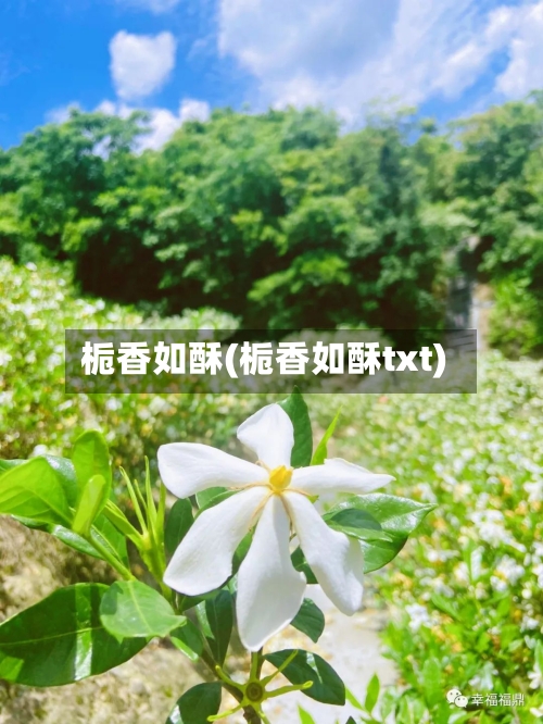 栀香如酥(栀香如酥txt)-第1张图片