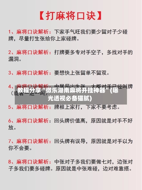 教程分享“微乐湖南麻将开挂神器”(曝光透视必备猫腻)-第1张图片