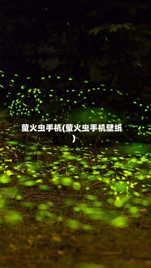 萤火虫手机(萤火虫手机壁纸)-第1张图片