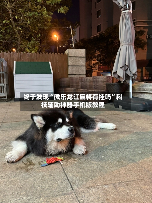 终于发现“微乐龙江麻将有挂吗”科技辅助神器手机版教程-第1张图片