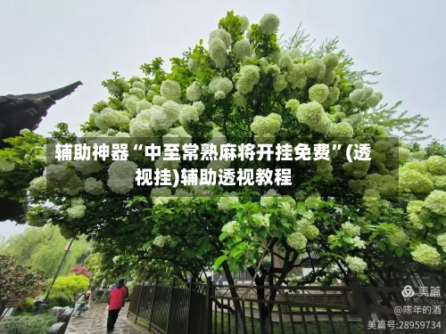 辅助神器“中至常熟麻将开挂免费	”(透视挂)辅助透视教程-第1张图片