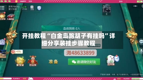 开挂教程“白金岛跑胡子有挂吗”详细分享装挂步骤教程-第1张图片