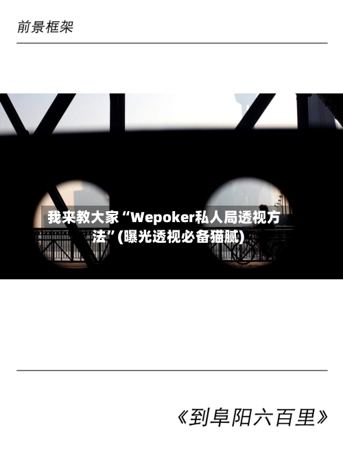 我来教大家“Wepoker私人局透视方法”(曝光透视必备猫腻)-第1张图片
