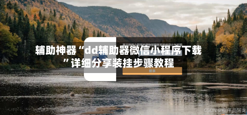 辅助神器“dd辅助器微信小程序下载”详细分享装挂步骤教程-第1张图片