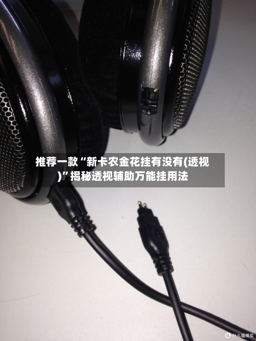 推荐一款“新卡农金花挂有没有(透视)”揭秘透视辅助万能挂用法-第1张图片