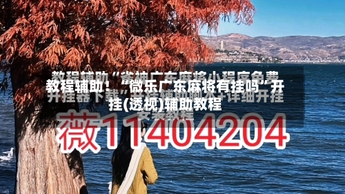 教程辅助！“微乐广东麻将有挂吗”开挂(透视)辅助教程-第1张图片