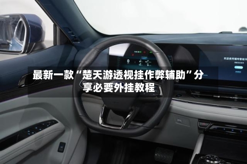 最新一款“楚天游透视挂作弊辅助	”分享必要外挂教程-第1张图片
