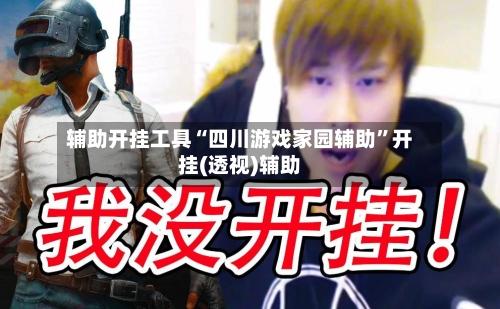 辅助开挂工具“四川游戏家园辅助”开挂(透视)辅助-第1张图片