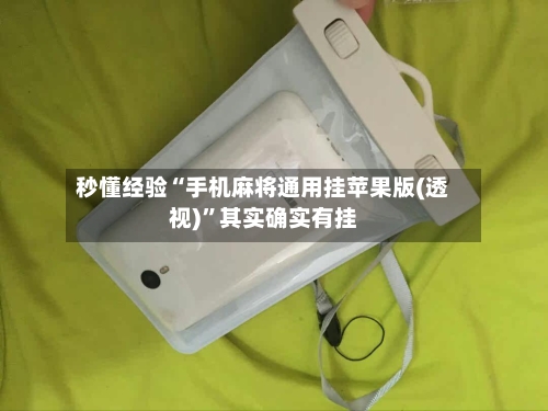 秒懂经验“手机麻将通用挂苹果版(透视)	”其实确实有挂-第1张图片