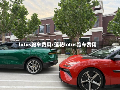 lotus跑车费用/莲花lotus跑车费用-第1张图片