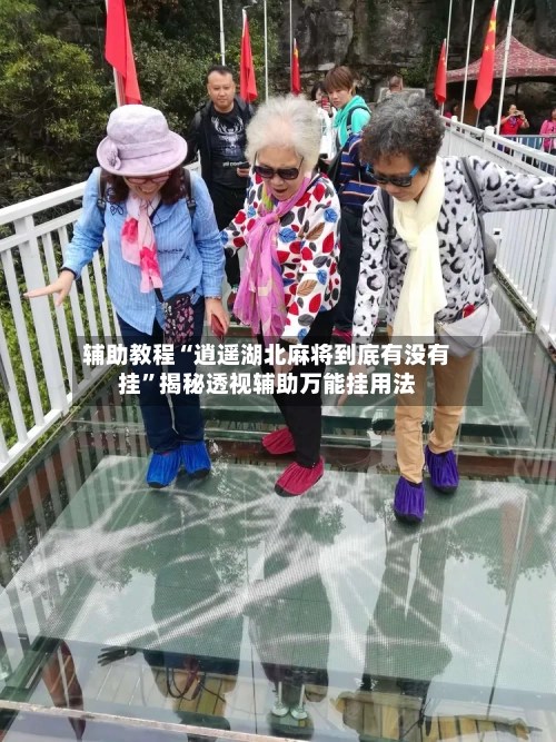 辅助教程“逍遥湖北麻将到底有没有挂	”揭秘透视辅助万能挂用法-第1张图片