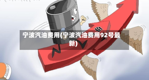 宁波汽油费用(宁波汽油费用92号最新)-第1张图片