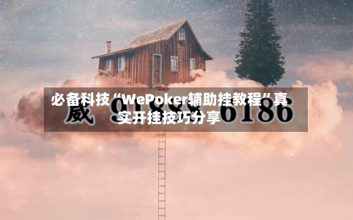 必备科技“WePoker辅助挂教程”真实开挂技巧分享-第1张图片