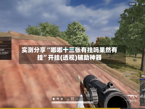 实测分享“嘟嘟十三张有挂吗果然有挂”开挂(透视)辅助神器-第1张图片
