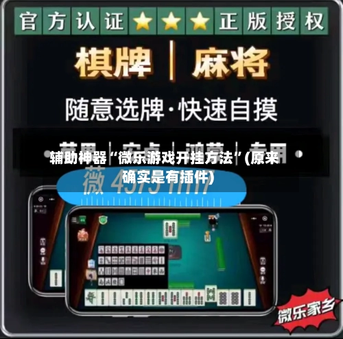 辅助神器“微乐游戏开挂方法	”(原来确实是有插件)-第1张图片