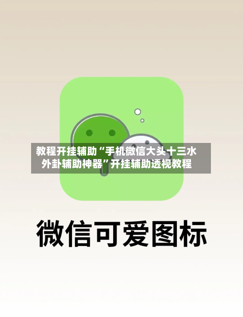 教程开挂辅助“手机微信大头十三水外卦辅助神器	”开挂辅助透视教程-第1张图片
