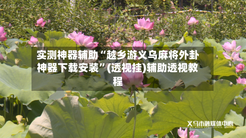 实测神器辅助“越乡游义乌麻将外卦神器下载安装	”(透视挂)辅助透视教程-第1张图片