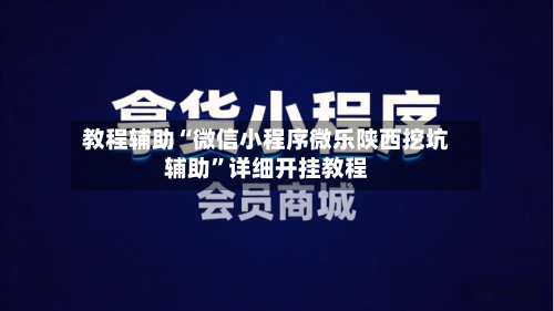 教程辅助“微信小程序微乐陕西挖坑辅助	”详细开挂教程-第1张图片