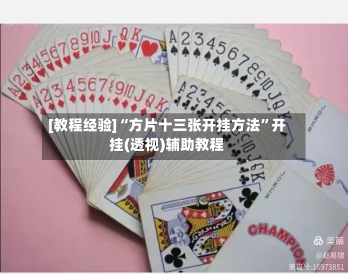 [教程经验]“方片十三张开挂方法	”开挂(透视)辅助教程-第1张图片
